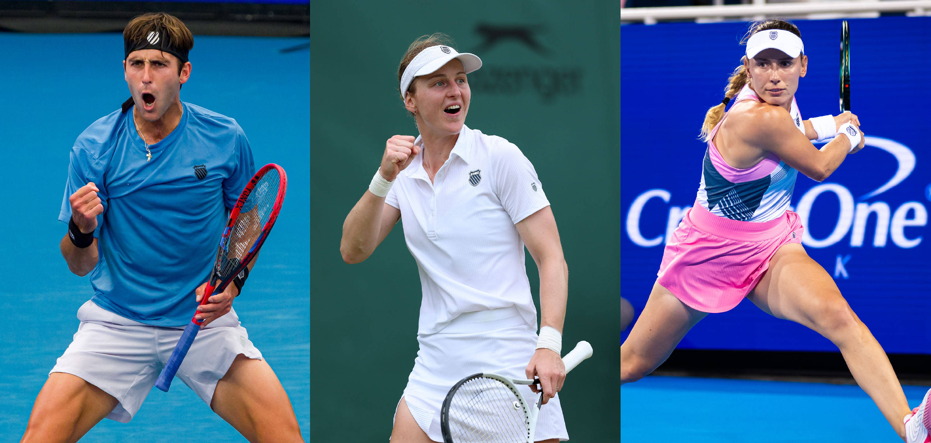 了鲜明的 了鲜明的