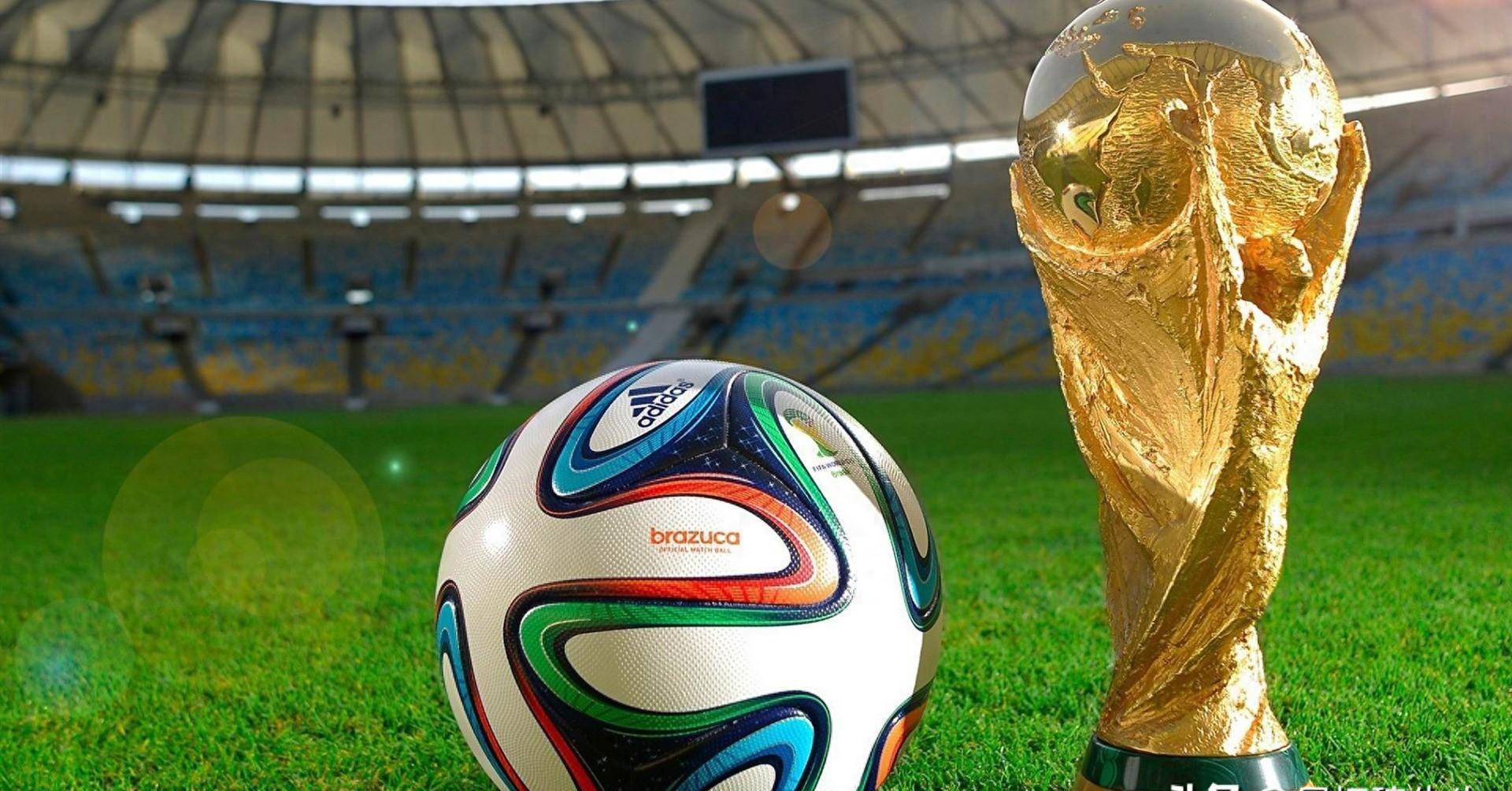 彻底锁定胜 彻底锁定胜